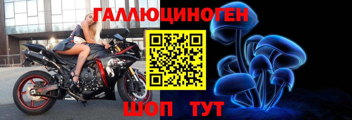 Галлюциногенные грибы Psilocybe Кисловодск