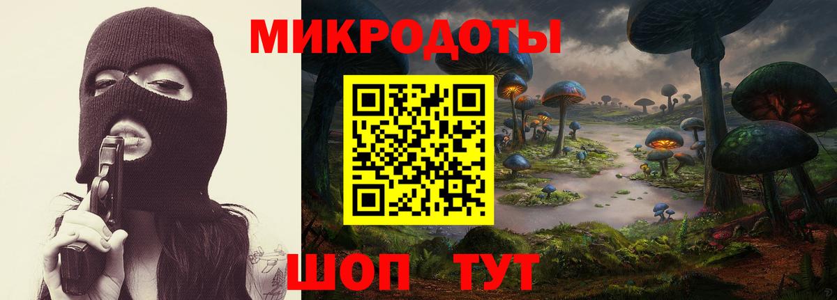 Кисловодск  Псилоцибиновые грибы Psilocybine cubensis  Вход с VPN 